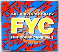 Fine Young Cannibals - She Drives Me Crazy